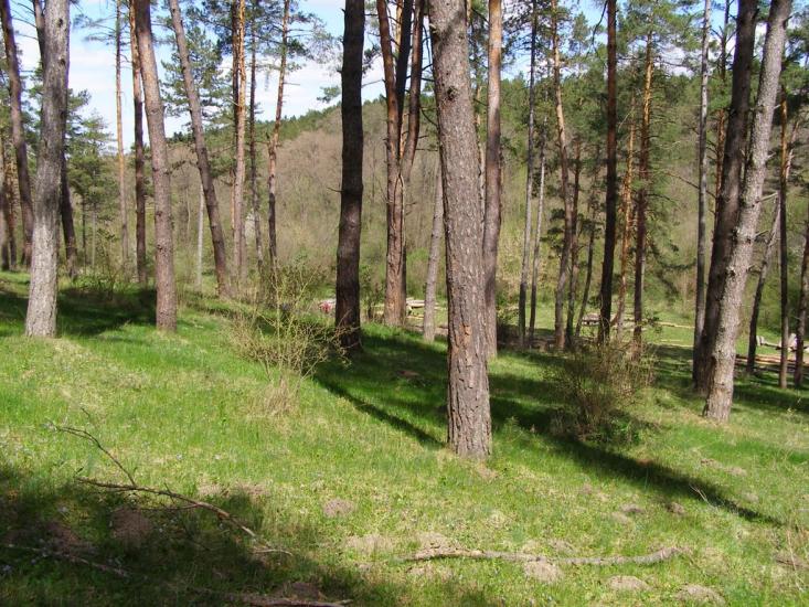 Джурин з panoramio.com - Джурин