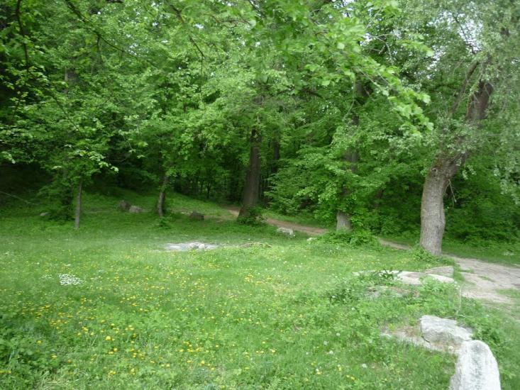 Бронниця з panoramio.com - Бронниця