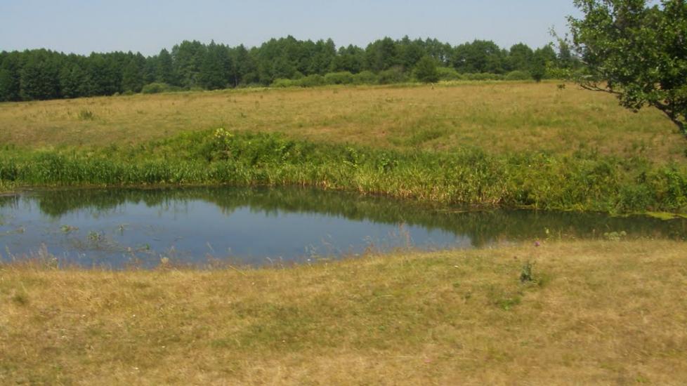 Машеве з panoramio.com - Машево