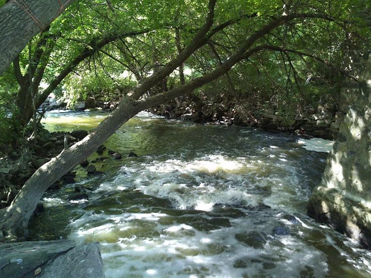 Соломія з panoramio.com - Соломия