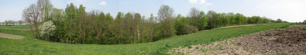 Ступно з panoramio.com - Ступно