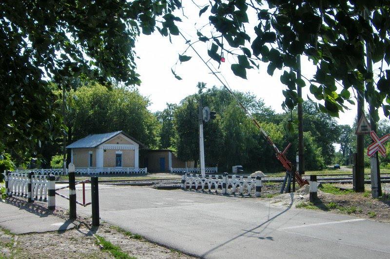 Дмитрівка з panoramio.com - Дмитрівка