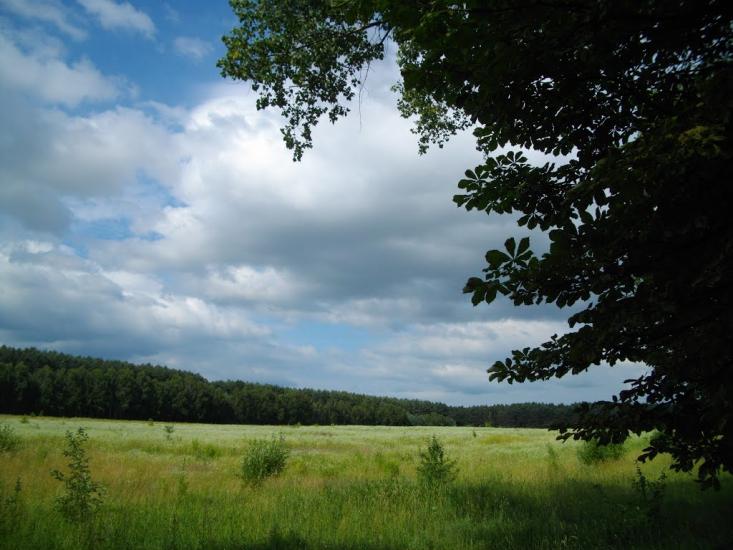 Ситниця з panoramio.com - Ситниця