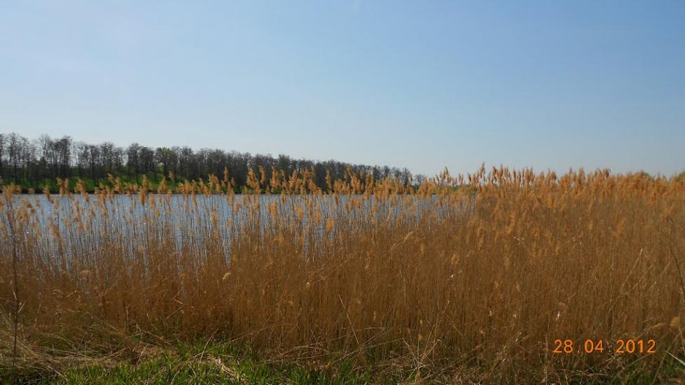 Білопілля з panoramio.com - Білопілля