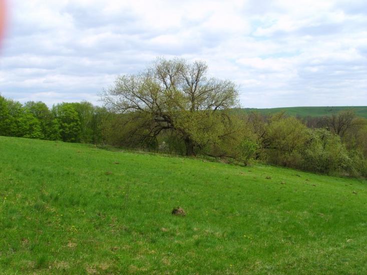 Стрижавка з panoramio.com - Стрижавка