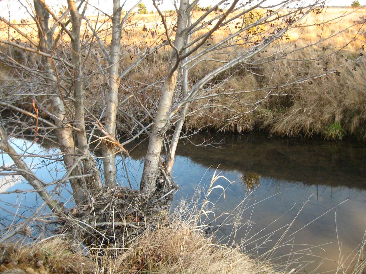 І СВІТАЄ, І СМЕРКАЄ - Небылов