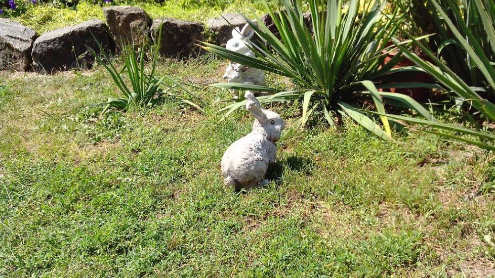 Городище з panoramio.com - Городище