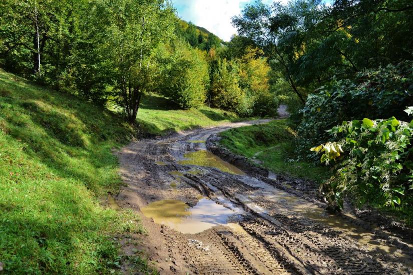 Росішка з panoramio.com - Rosishka
