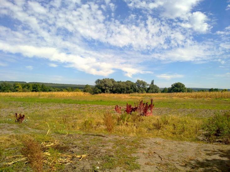 Олександрівка з panoramio.com - Олександрівка
