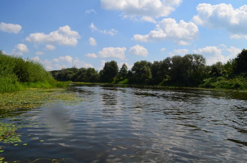 Соснове з panoramio.com - Соснове