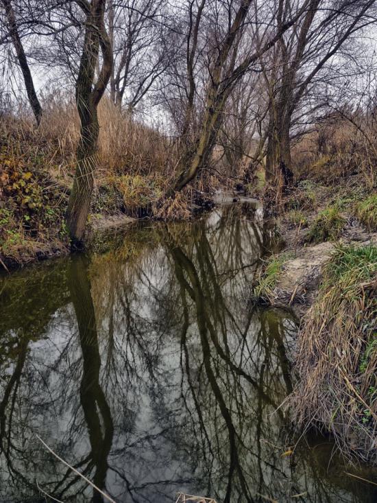 Новоселівка з panoramio.com - Новоселівка