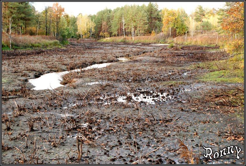 Тепениця з panoramio.com - Тепениця