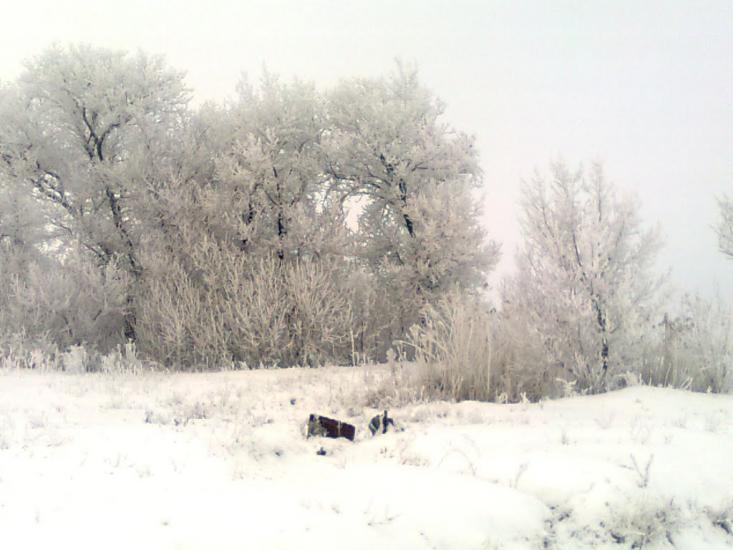 Приовражне з panoramio.com - Приовражне