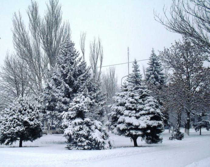 Пологи з panoramio.com - Pology
