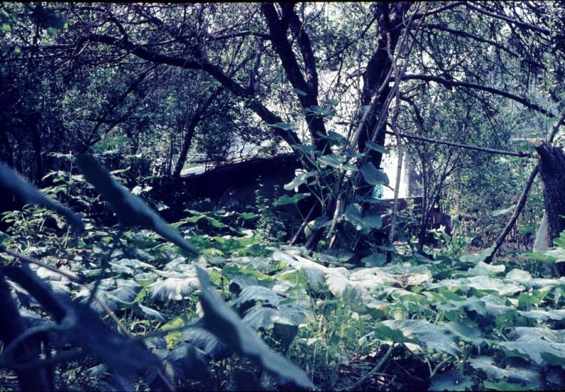 Дебальцеве з panoramio.com - Дебальцеве