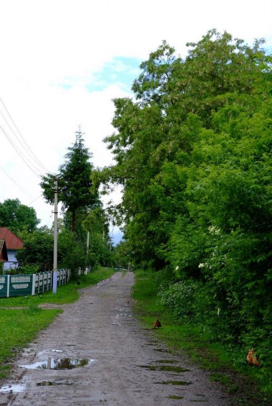 Слобідка-Шелехівська з panoramio.com - Слобідка-Шелехівська