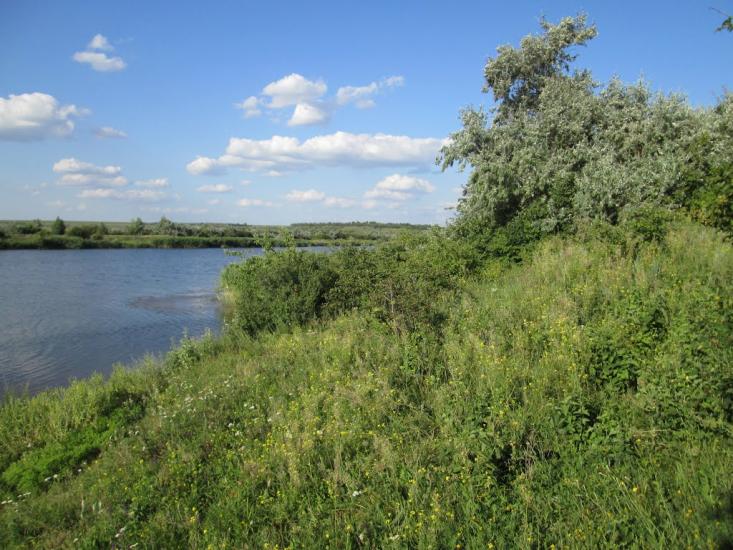 Єлизаветівка з panoramio.com - Єлизаветівка