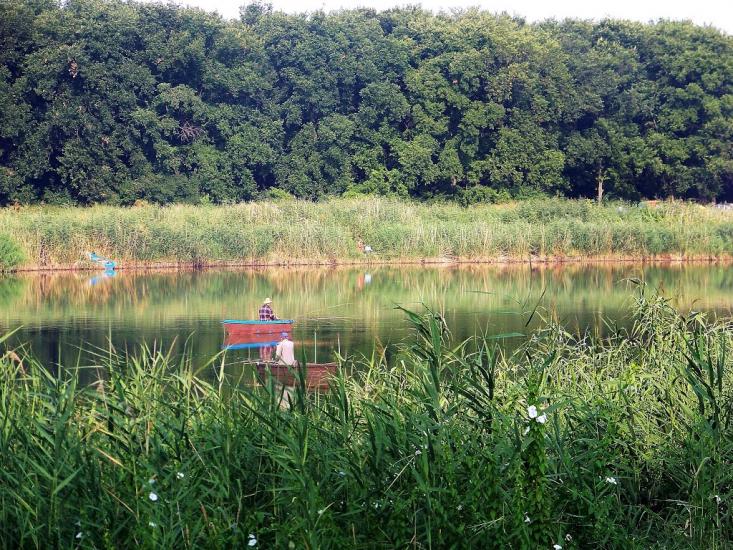 Христофорівка з panoramio.com - Христофоровка