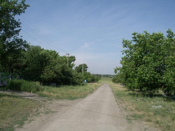 Бурлацьке з panoramio.com - Бурлацьке