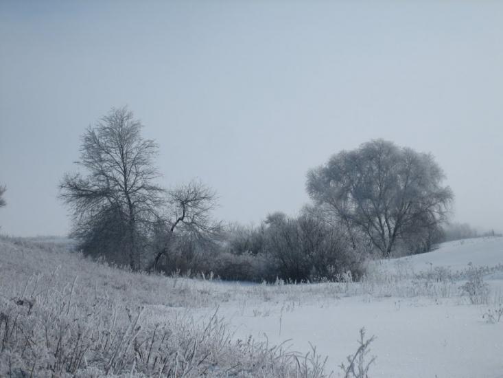 Липці з panoramio.com - Липцы