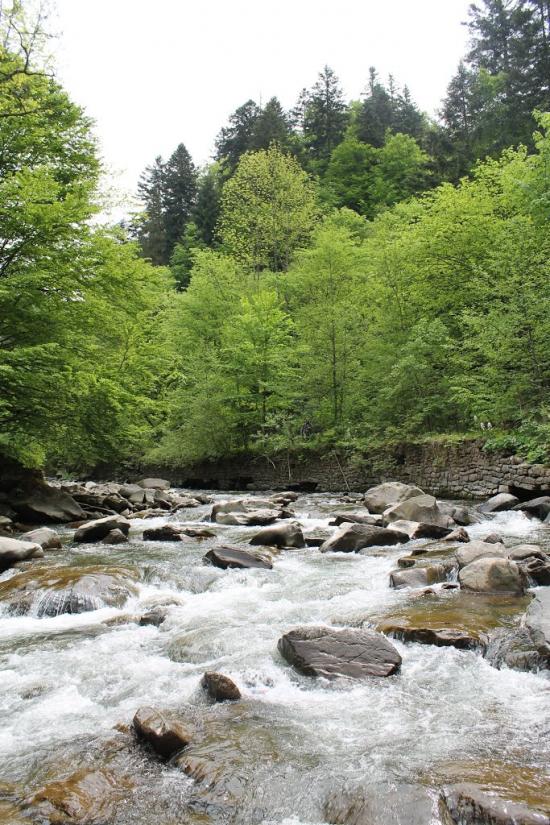 Буківцьово з panoramio.com - Буковцево