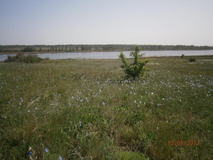 Колядівка з panoramio.com - Колядовка