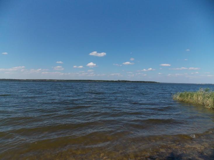 Зелений Гай з panoramio.com - Зеленый Гай