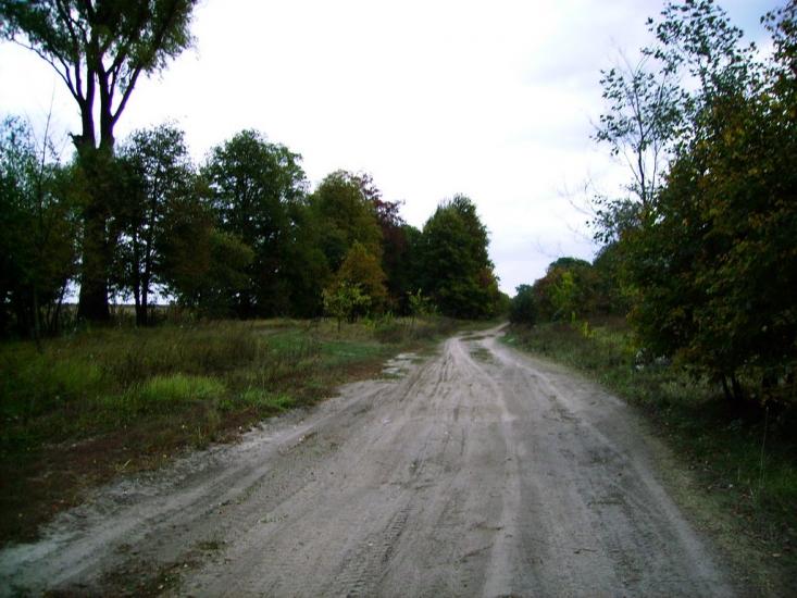 Велика Кошелівка з panoramio.com - Велика Кошелівка