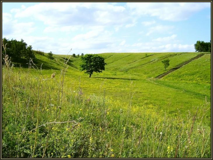 Стрілеча з panoramio.com - Стрілеча