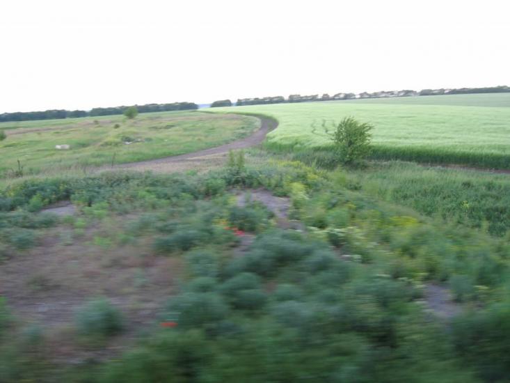Арбузинка з panoramio.com - Арбузинка