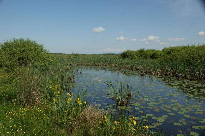 Оклі з panoramio.com - Оклі