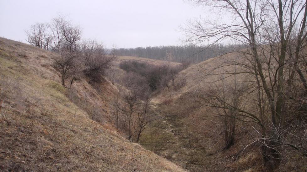 Христофорівка з panoramio.com - Христофоровка