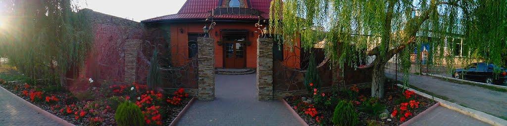 Березнегувате з panoramio.com - Березнегуватое