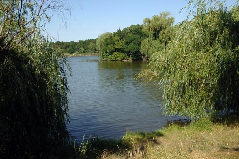 Кримське з panoramio.com - Кримське