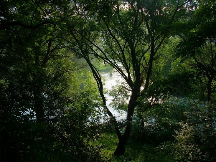 Рудня-Городище з panoramio.com - Рудня-Городище