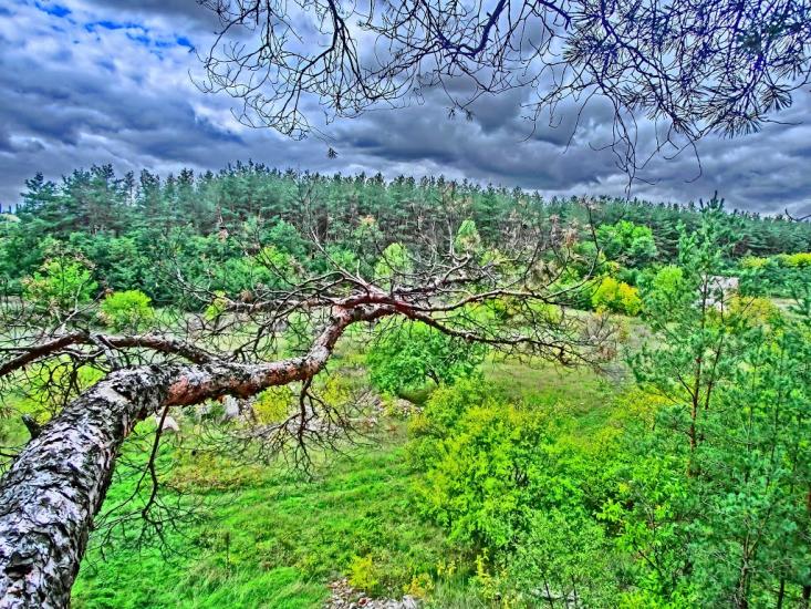 Олександро-Степанівка з panoramio.com - Александро-Степановка