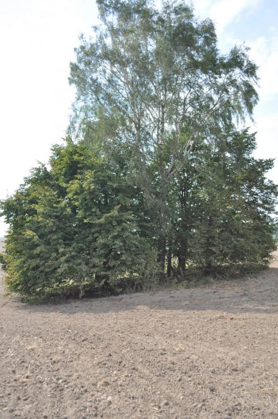 Заріцьк з panoramio.com - Заріцьк