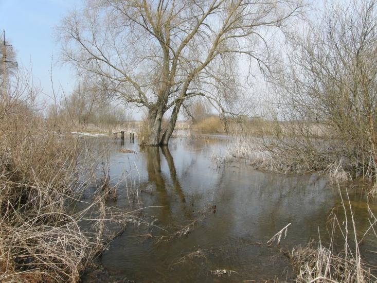 Оржиця з panoramio.com - Orzhytsya