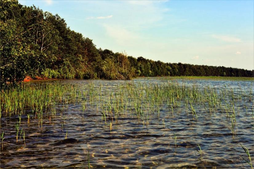 Мельники з panoramio.com - Мельники