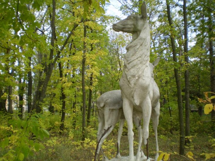 Малин з panoramio.com - Malyn