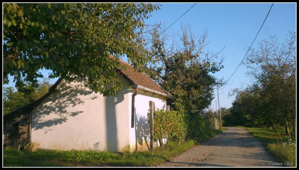 Астей з panoramio.com - Астей