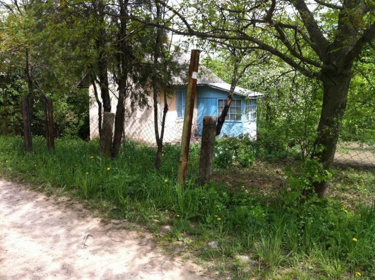 Біла з panoramio.com - Белая