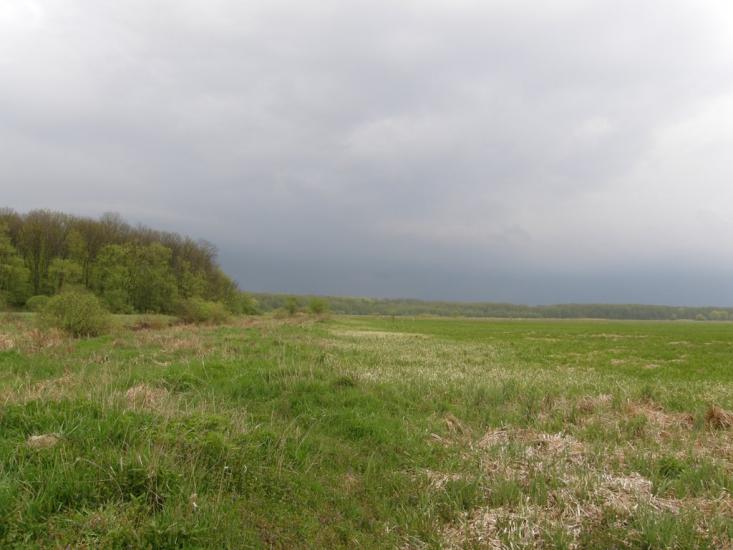 Оржиця з panoramio.com - Оржиця