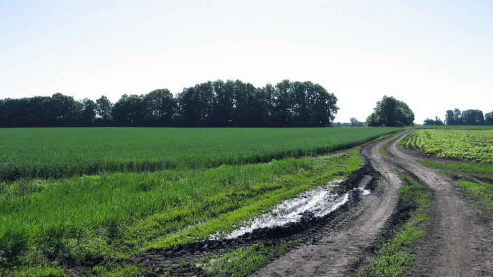 Червоне Знамено з panoramio.com - Червоное Знамено