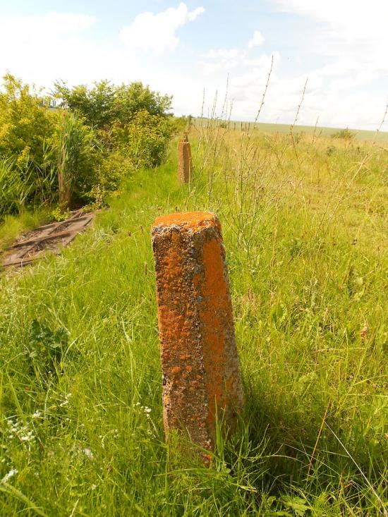 Вернигородок з panoramio.com - Вернигородок