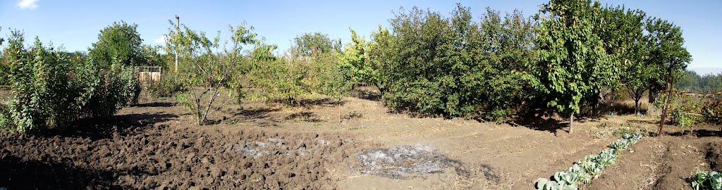 Нововасилівка з panoramio.com - Нововасилевка