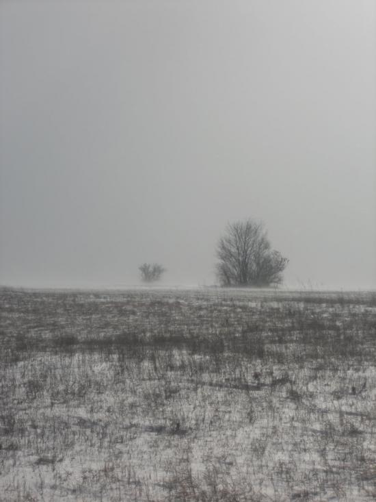 Першотравенка з panoramio.com - Первотравенка