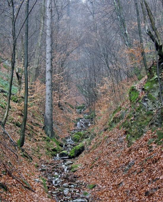 Розтоки з panoramio.com - Розтоки