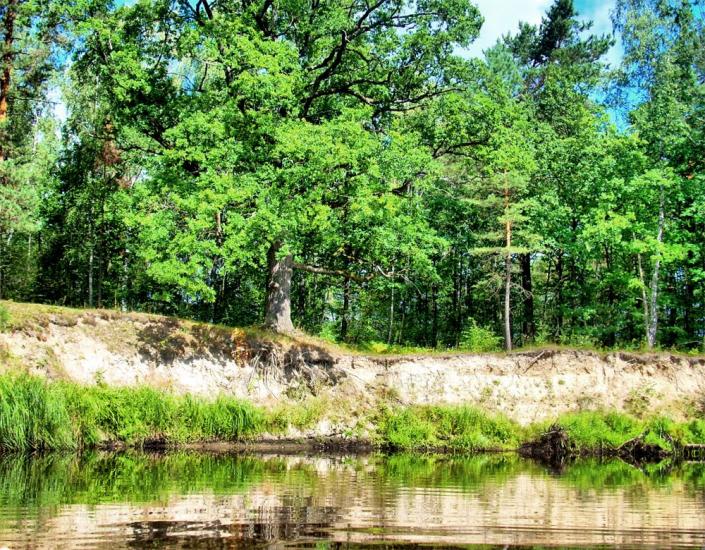 Сущани з panoramio.com - Сущаны