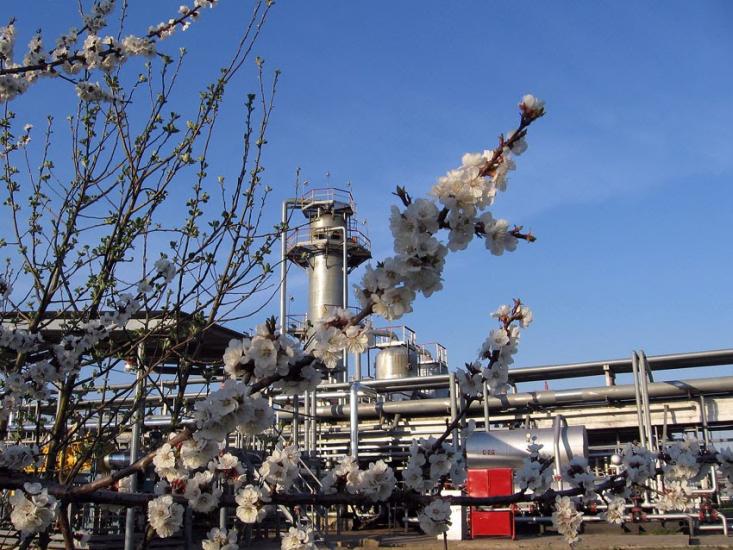 Великі Будища з panoramio.com - Великі Будища